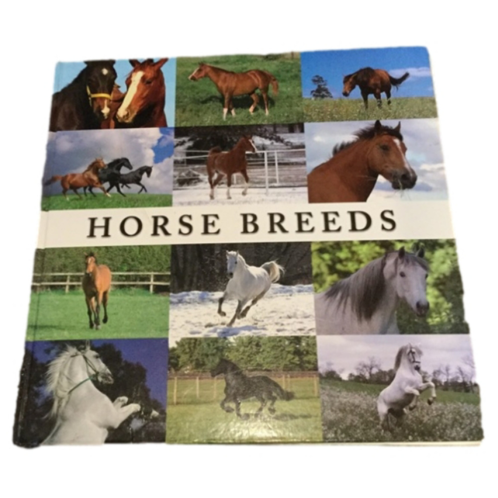 Horse Breeeds James Kingston Vintage HUGE Riding Hard Cover Coffee Table Book XL